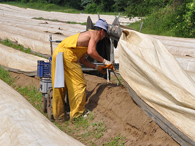 Ein Landwirt, der in einem Feld arbeitet und eine Abdeckung anhebt.