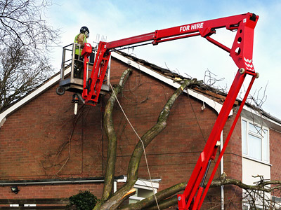 Ein Arbeiter in einem Hebekorb schneidet einen Baum, während er eine rote Hebebühne benutzt.