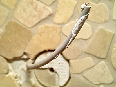 Ein freiliegendes Kabel, das aus einer Wand herausragt.