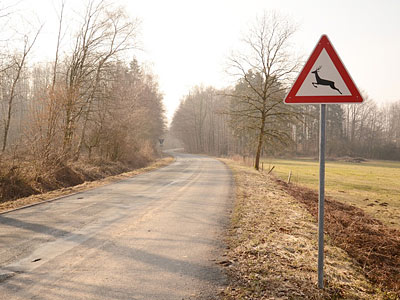 Ein straßenschild mit dem Hinweis auf Wildwechsel an einer ländlichen Straße.