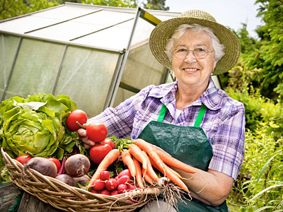 Eine ältere Frau in einem Garten hält einen Korb mit frischem Gemüse, darunter Karotten, Radieschen, Tomaten und Salat. Im Hintergrund ist ein Gewächshaus zu sehen.