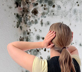 Eine Person mit langen Haaren hält sich die Ohren zu, während sie vor einer mit Schimmel bedeckten Wand steht.