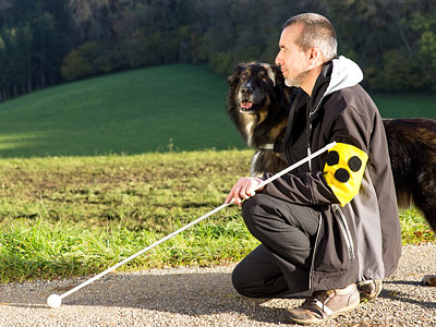 Ein Mann kniet neben einem Hund auf einem Weg, während er einen Stock mit einer gelben Flagge hält. Im Hintergrund sind Wiesen und Bäume zu sehen.