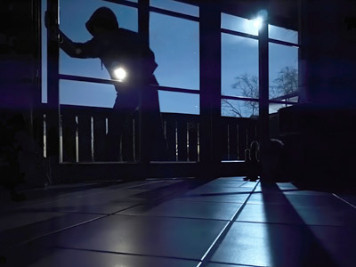 Eine dunkle Szene, in der eine Figur in einem Kapuzenpulli versucht, durch eine offene Tür einzudringen, während das Mondlicht durch das Fenster fällt.