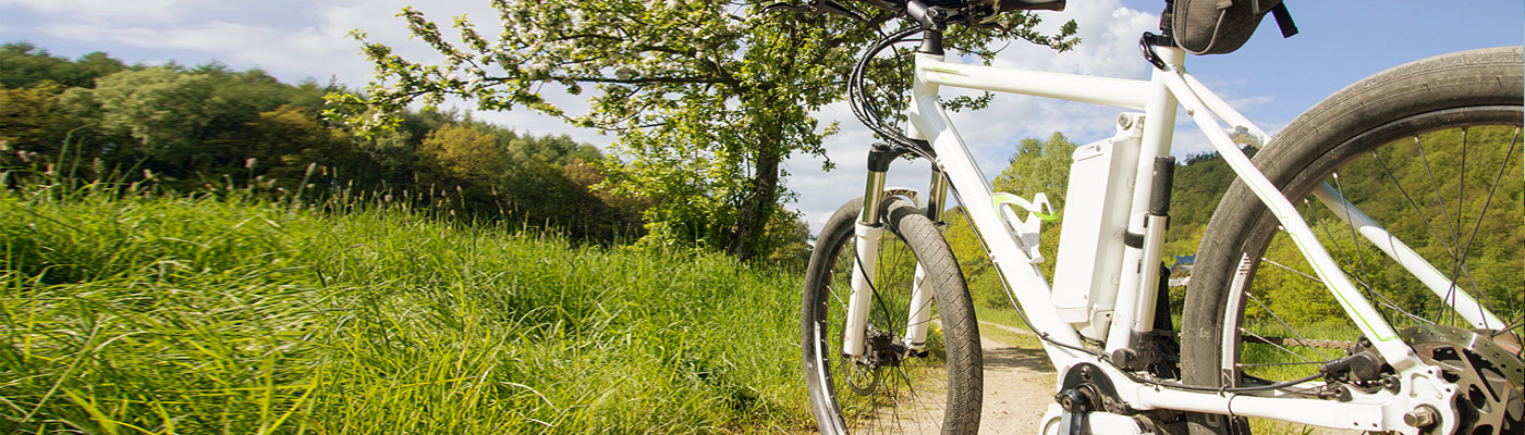 Ein weißes Fahrrad auf einem Weg, umgeben von grünem Gras und Bäumen.