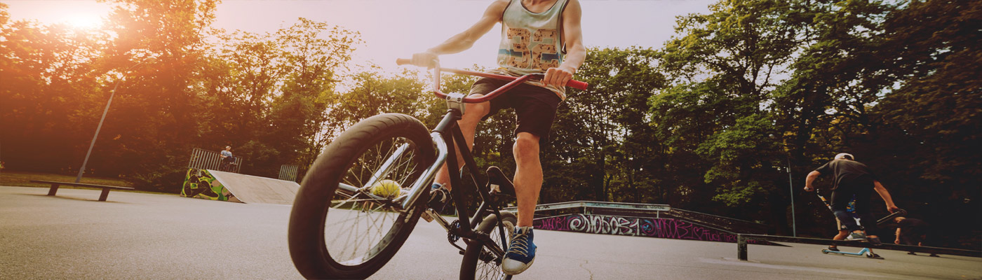 Ammerländer Fahrradversicherung