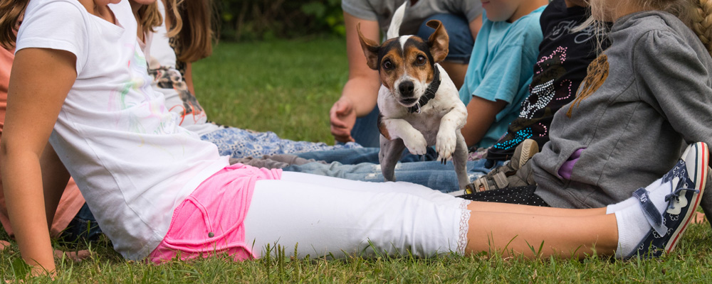 die Bayerische - Meine-eine-Police
